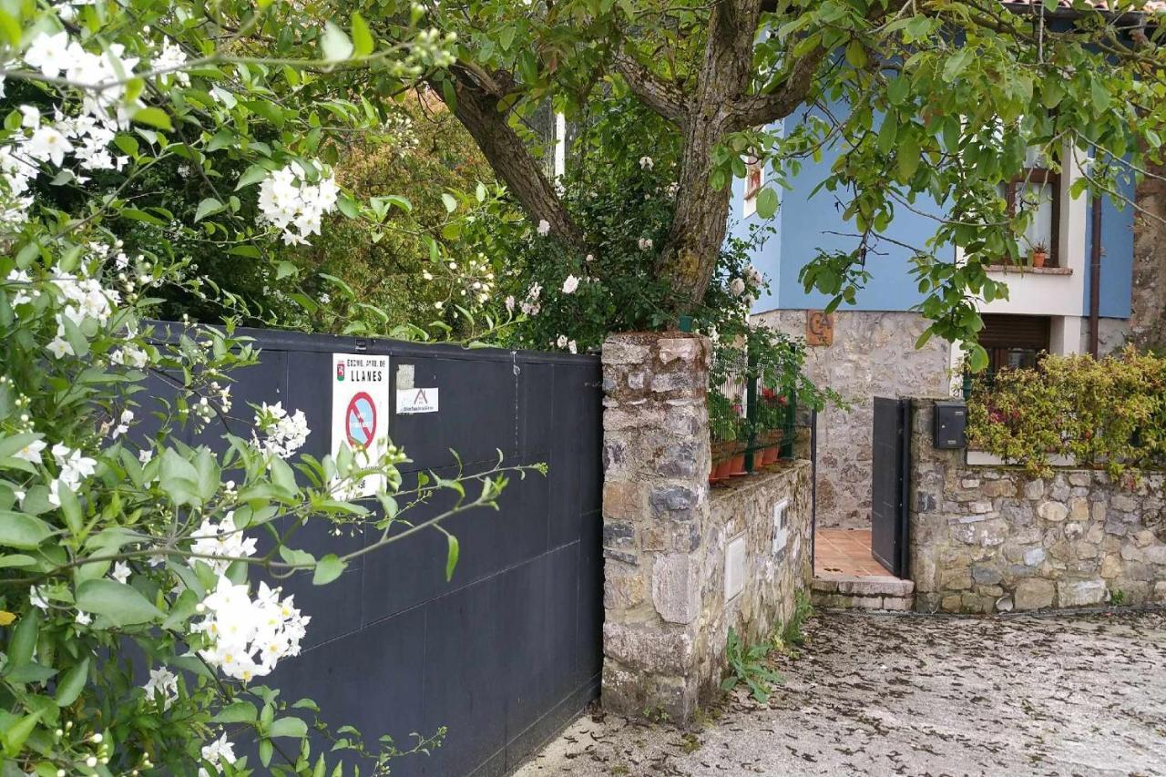 Rales  Casa De Aldea El Toral旅馆 外观 照片